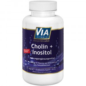 Cholin & Inositol 120 Kap